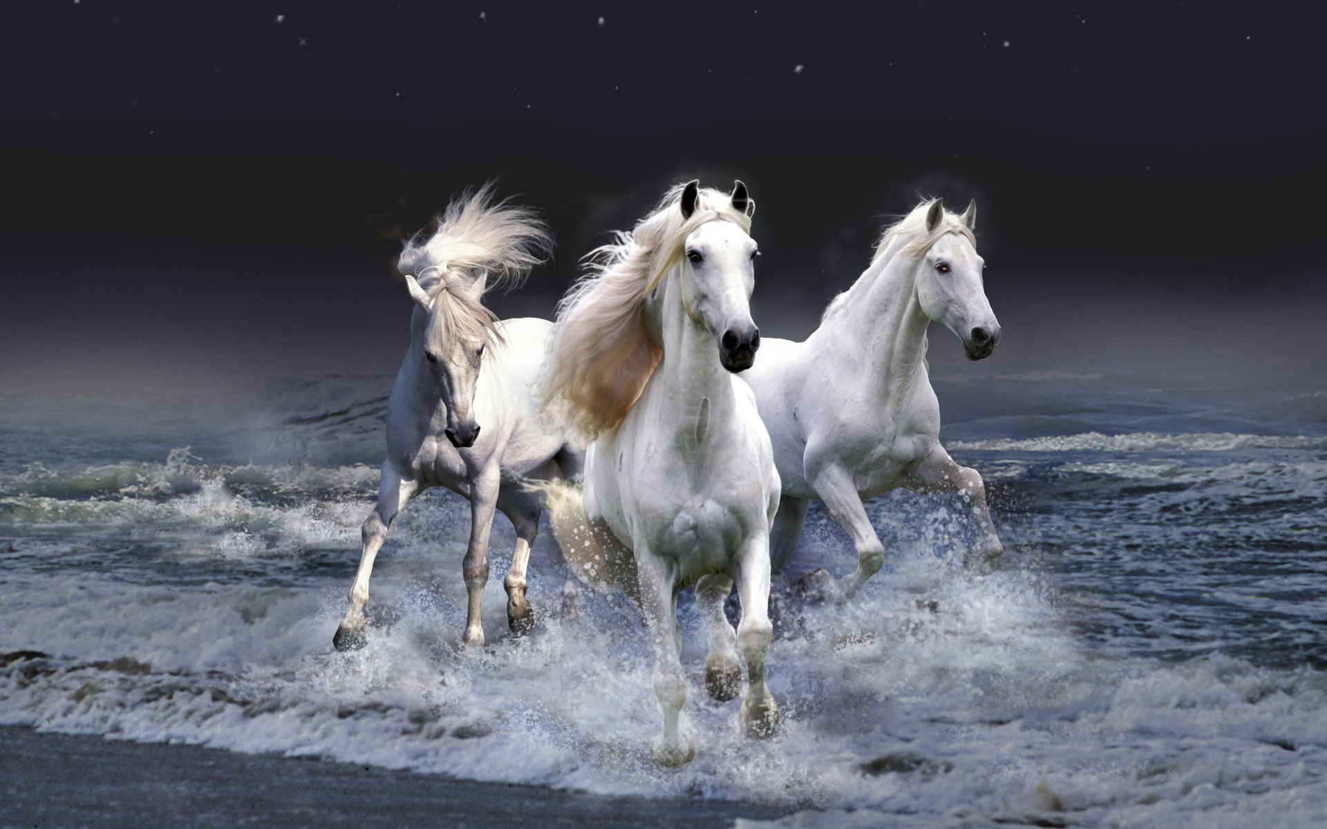 Mystic Horses1605310750 - Mystic Horses - Parrot, Mystic, Horses